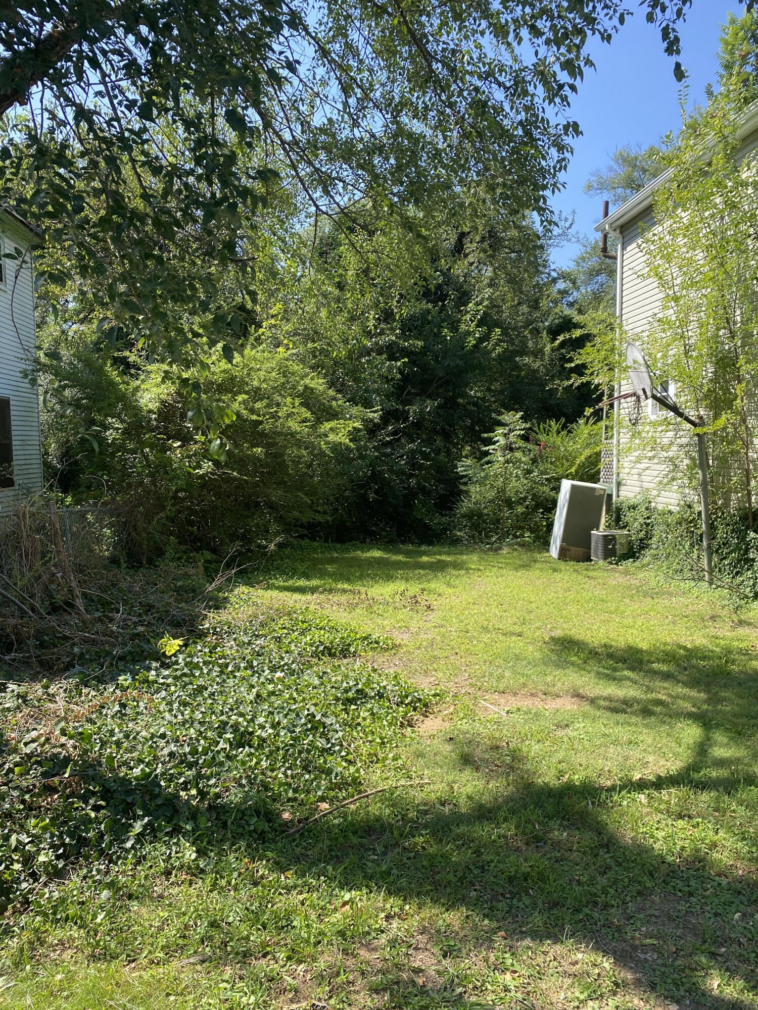 a view of yard with green space