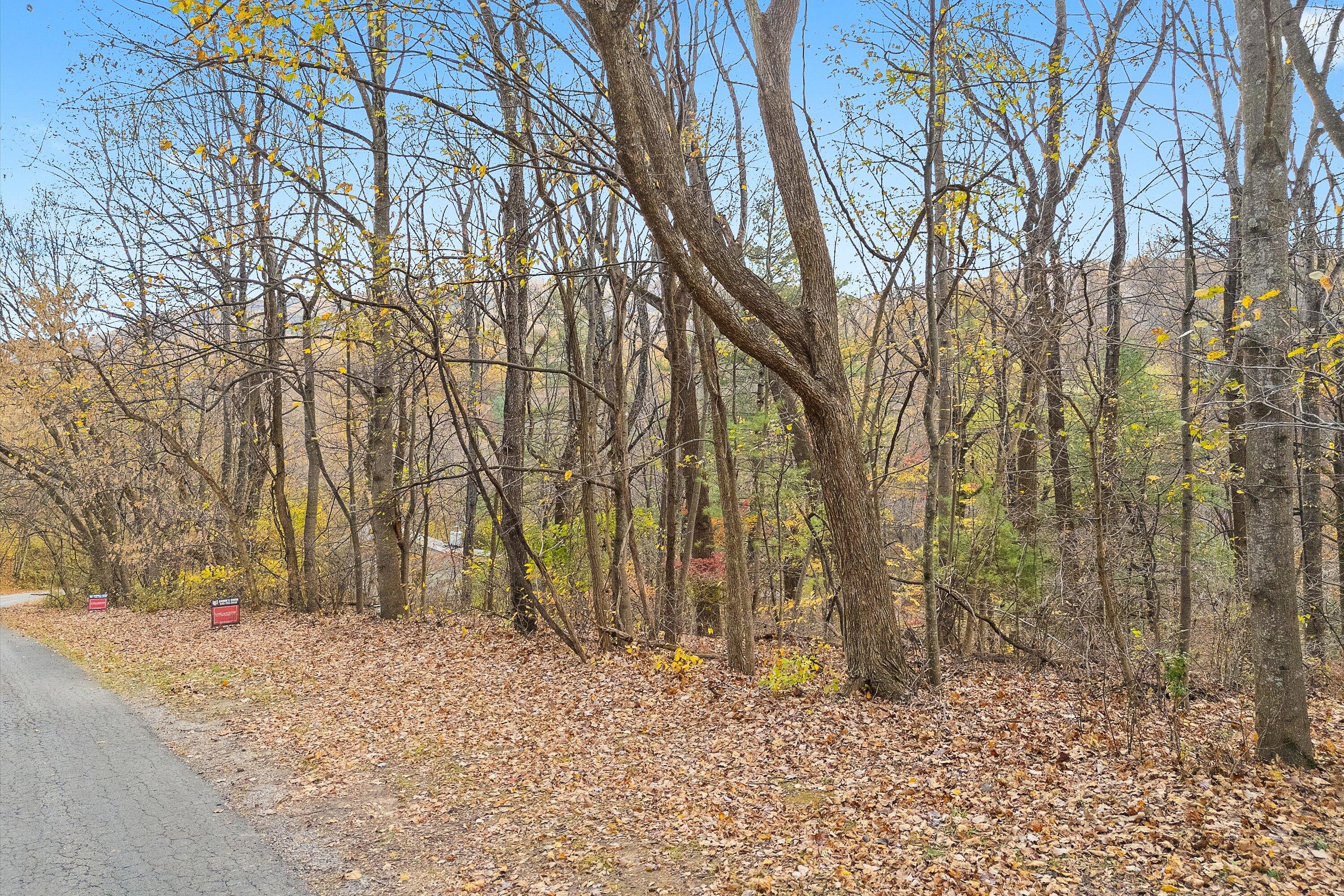 a backyard of a house with large trees