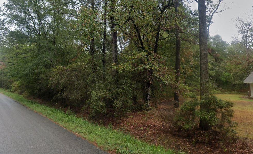 a view of a forest with a street