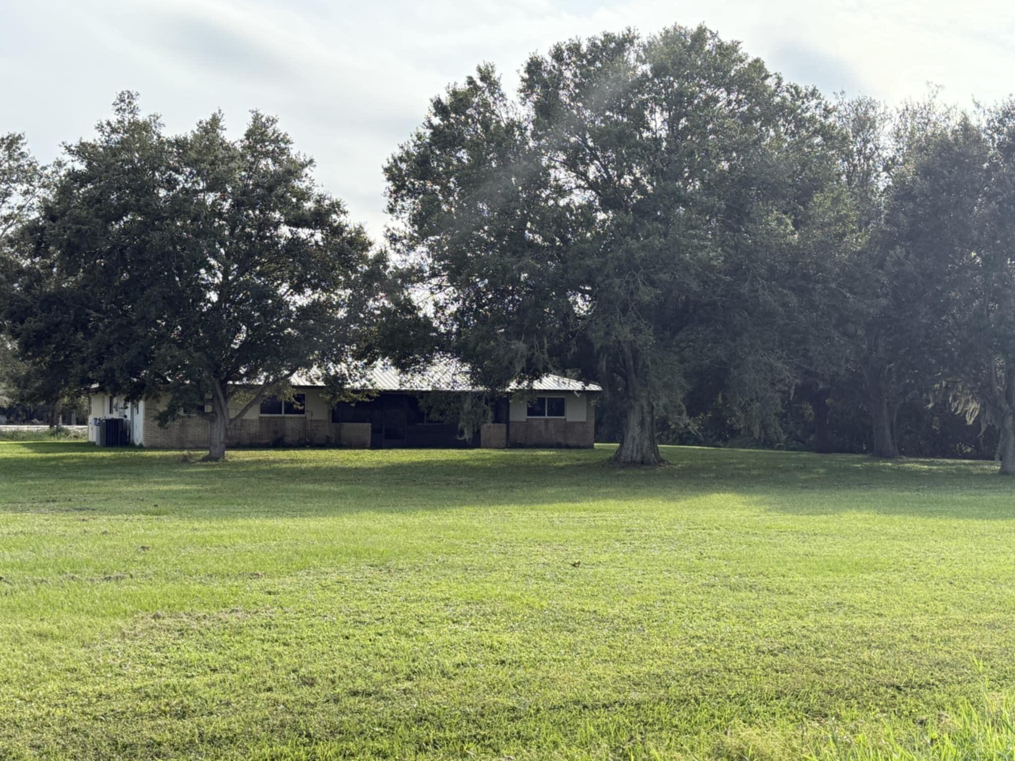 a view of a yard with a trees