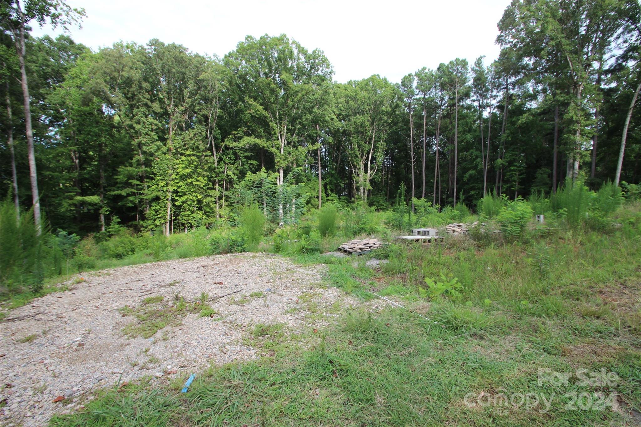 a view of outdoor space with trees all around