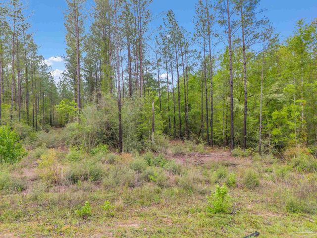 $79,900 | Lot 8 Mineral Springs Road | Berry Place