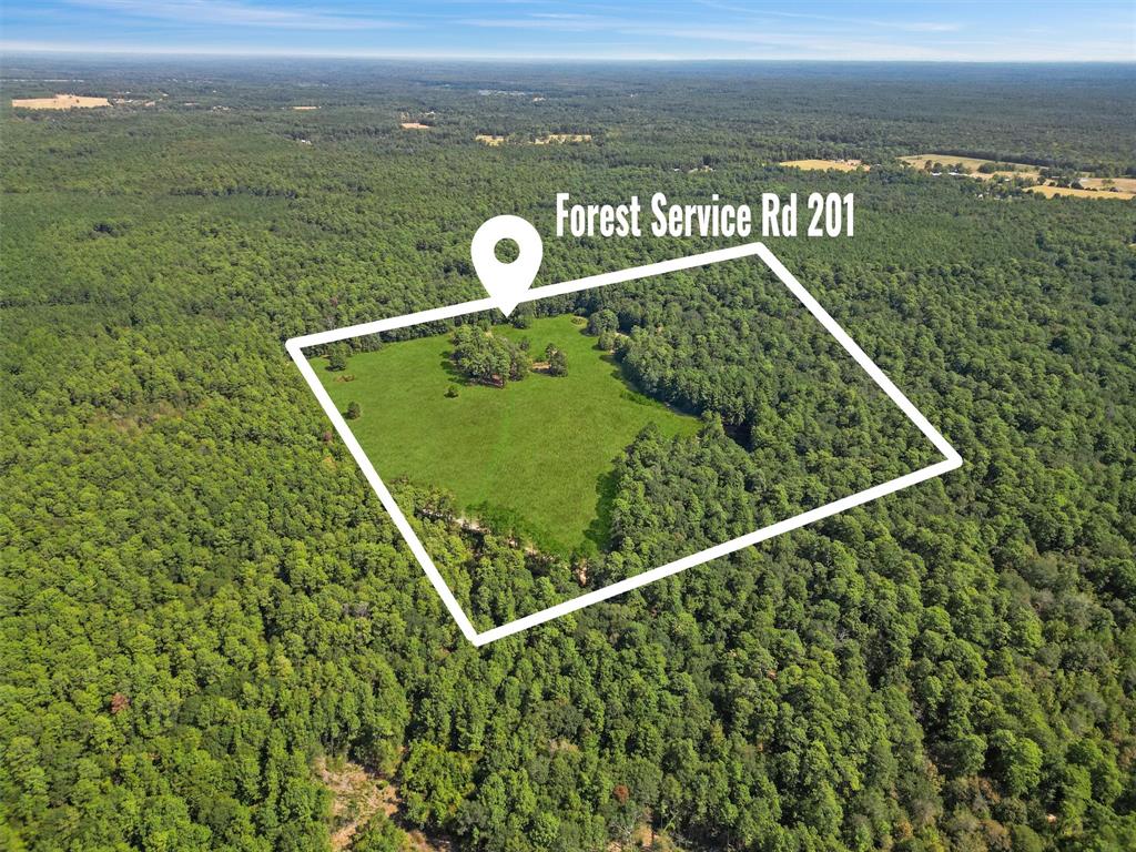 Location, Location, Location .... this property is one of the few located in the Sam Houston National Forest