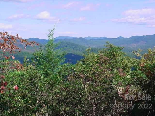 $49,000 | Lot 361 Hickory Nut Ln Lake | Chimney Rock Township - Rutherford County