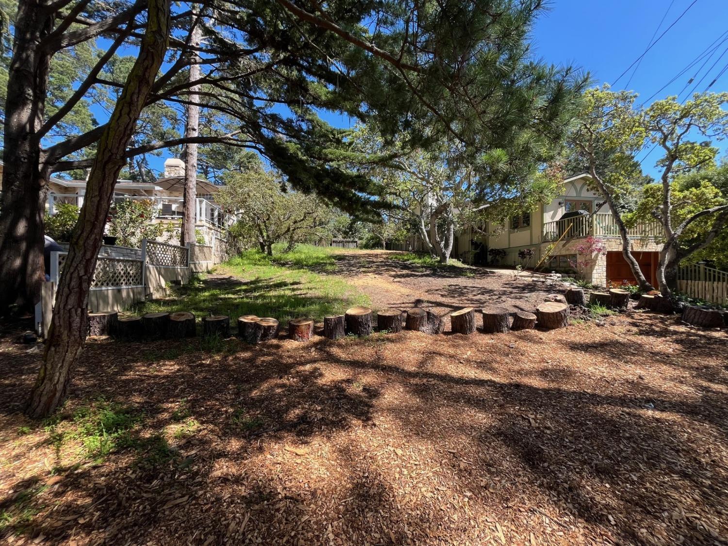 a view of a yard with a tree