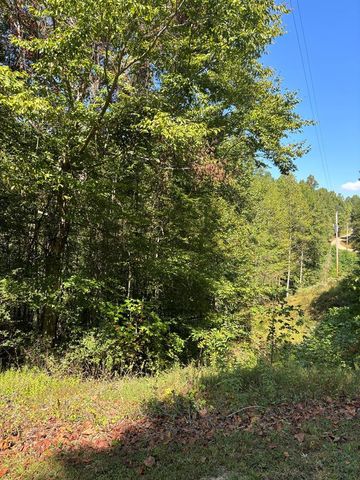 $30,000 | 0 Hy-Cobb Drive | Notla Township - Cherokee County