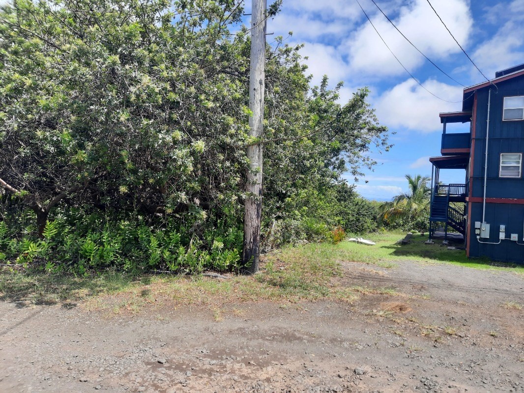 a view of a yard with a tree