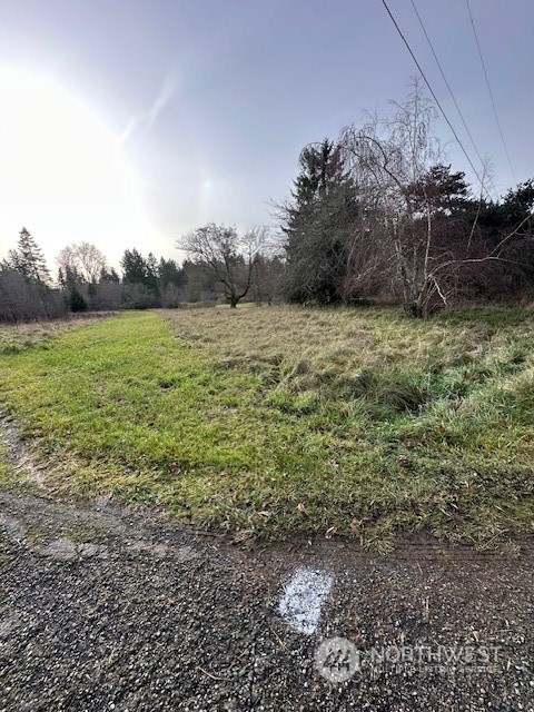 a view of a field with an trees