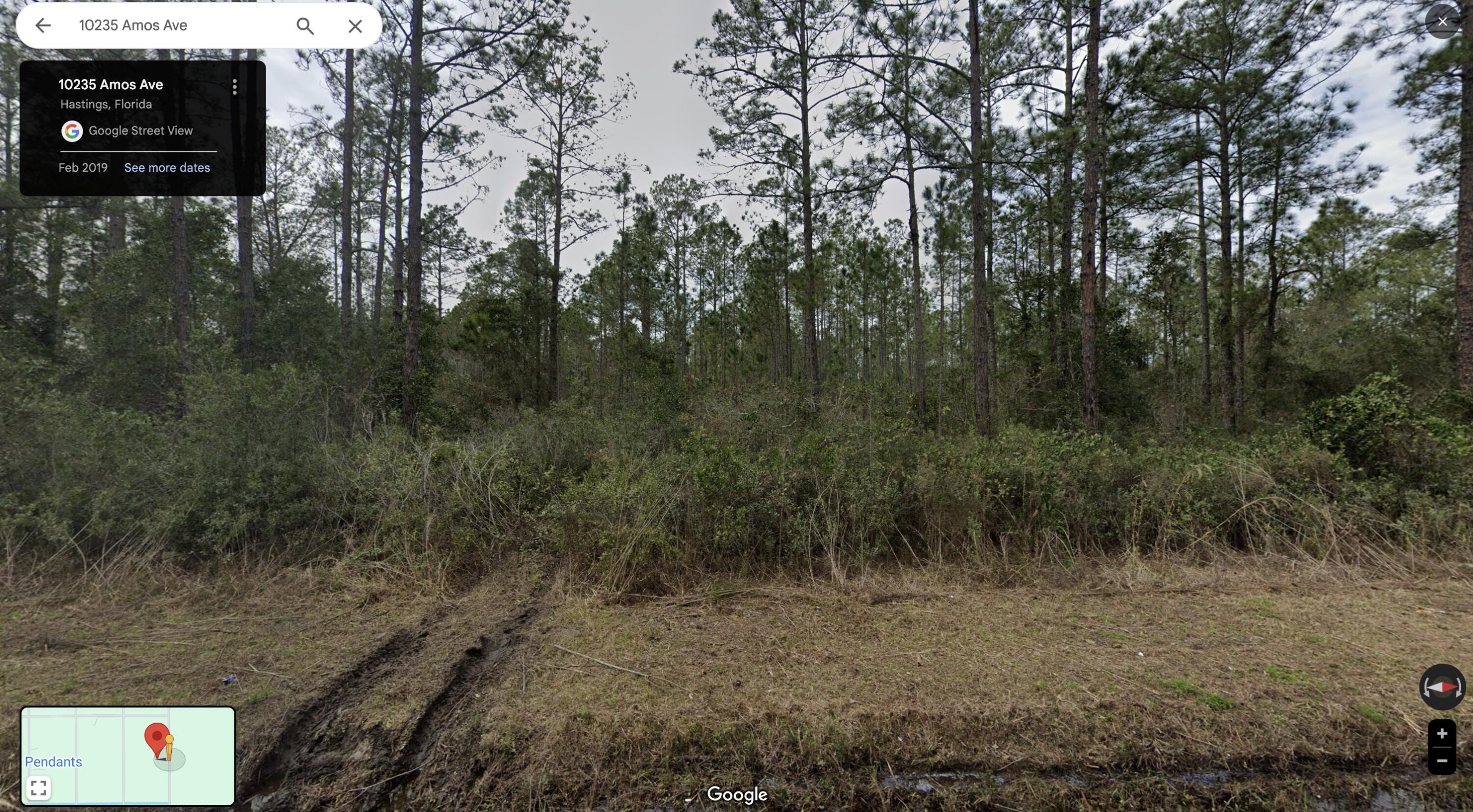 a view of a forest with trees