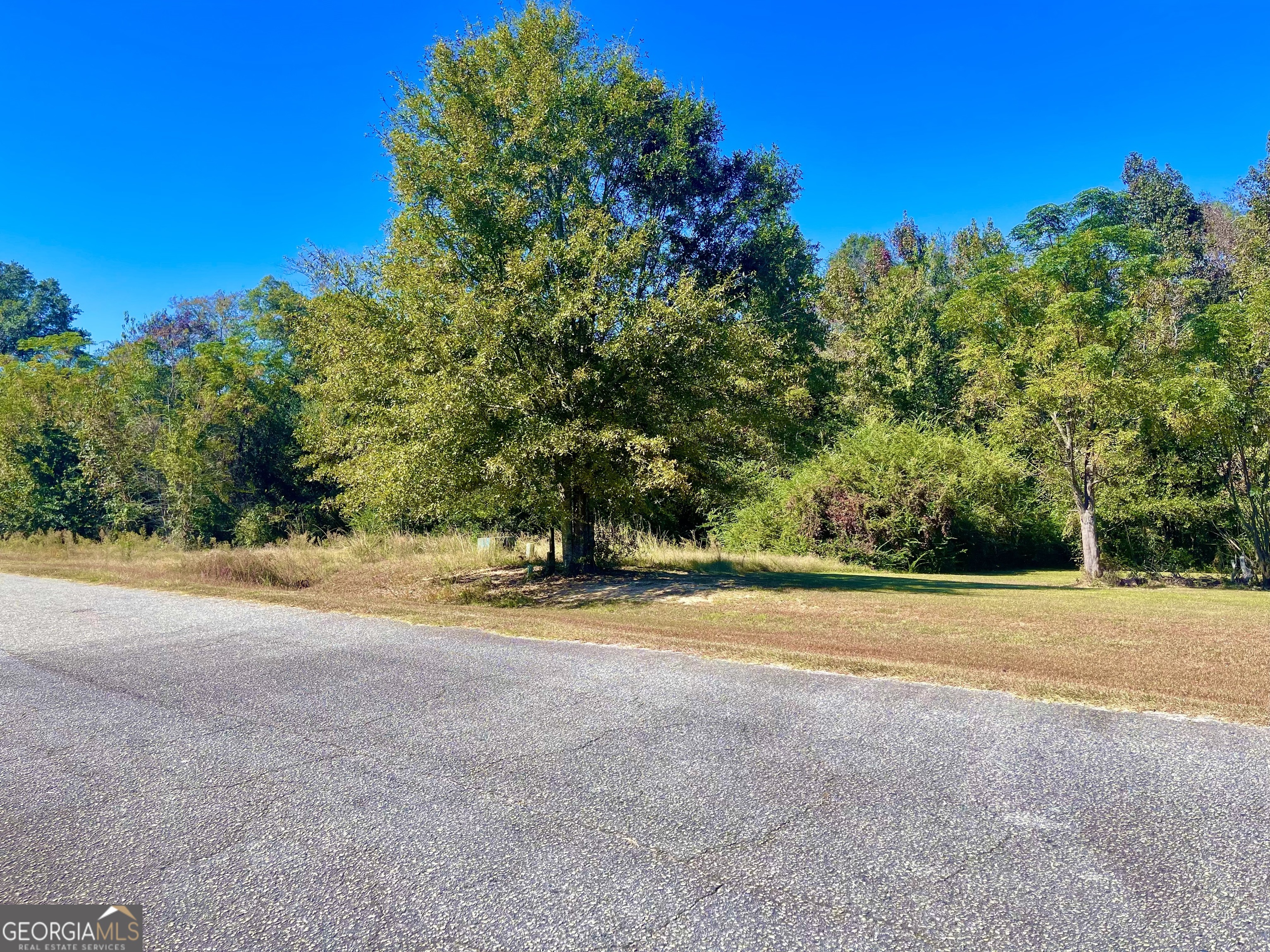 a view of a yard with a tree