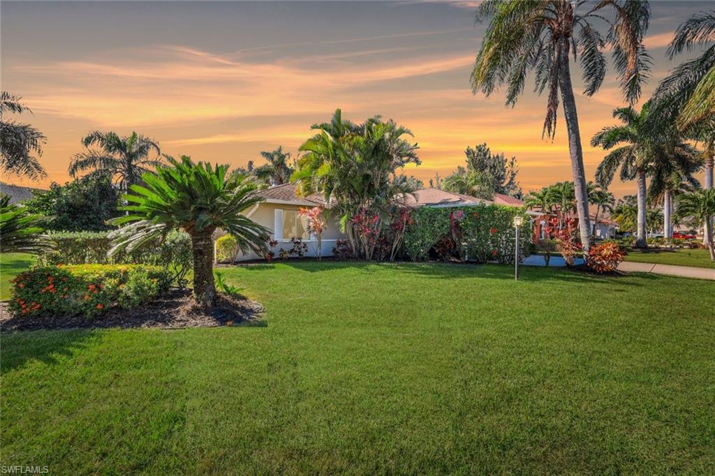 View of yard at dusk