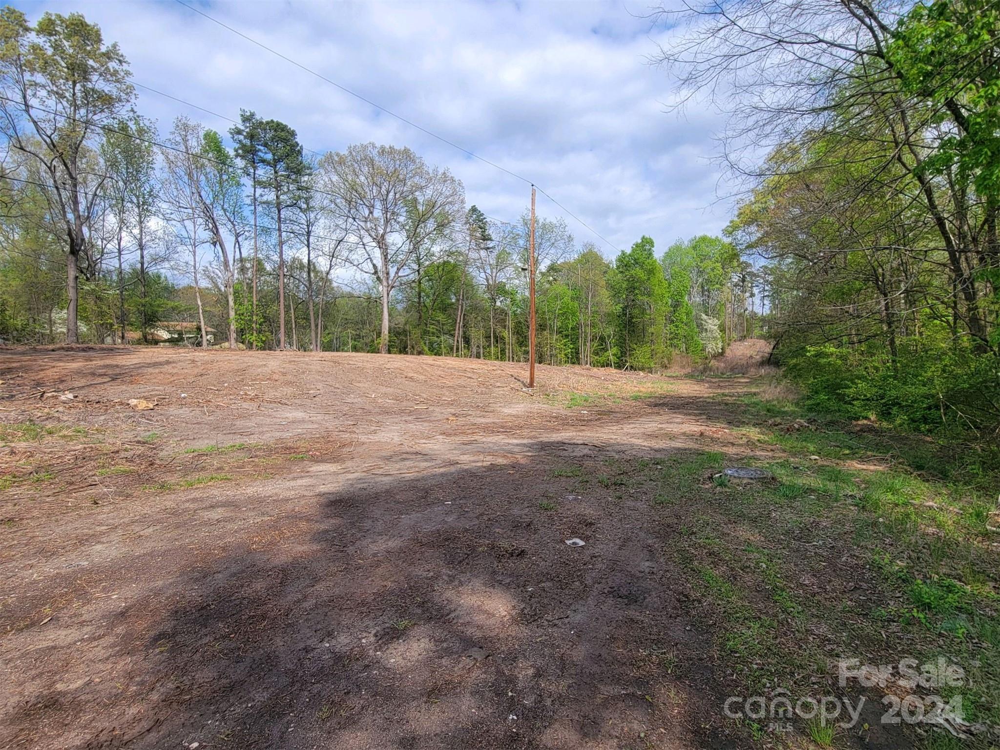 a view of dirt yard with large trees