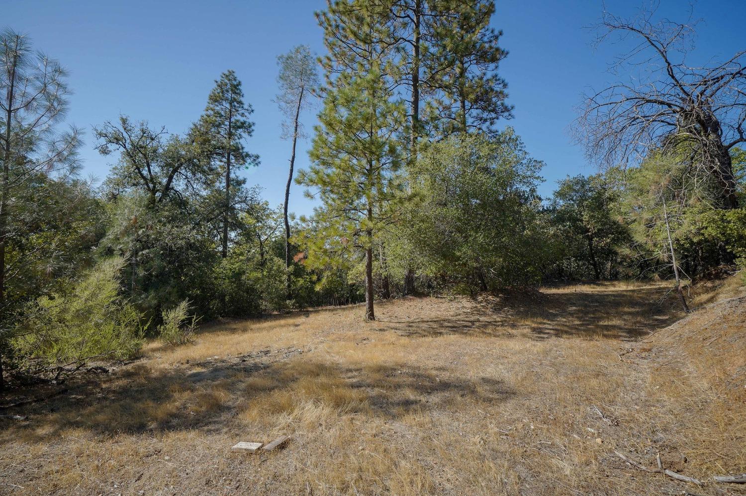 a view of outdoor space with trees