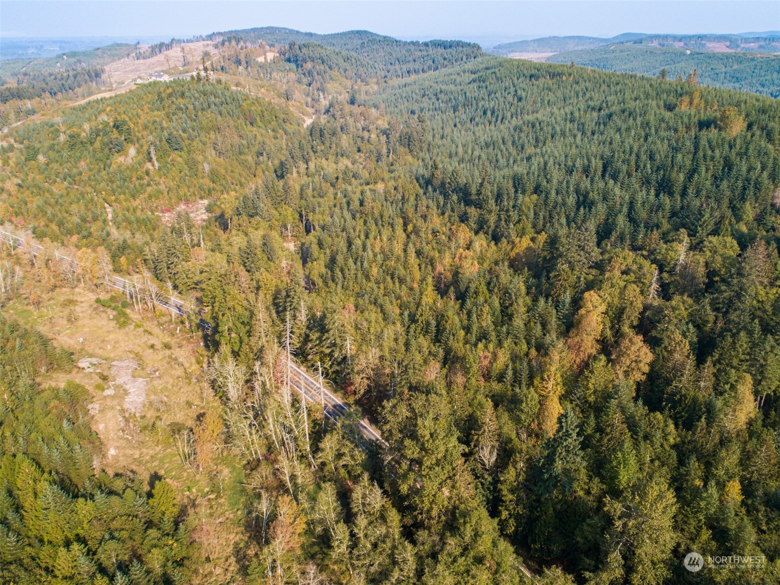 a view of a lush green forest with lush green forest