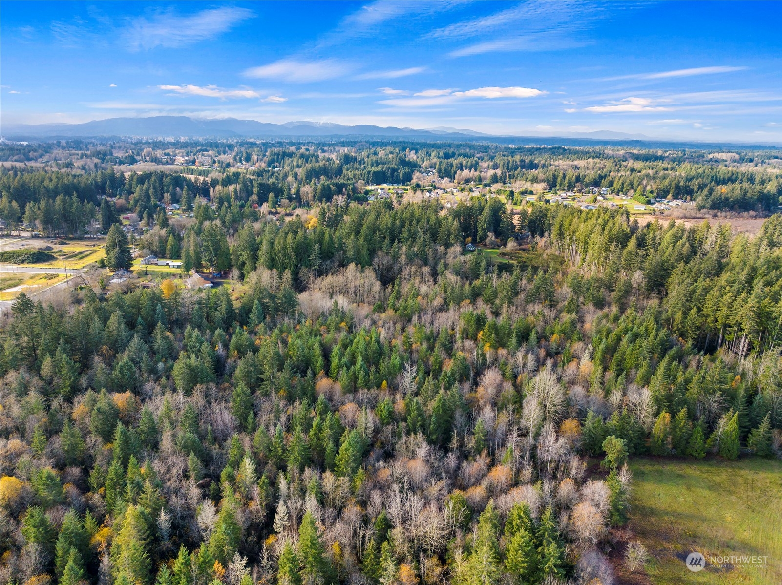 a view of a city with lush green forest