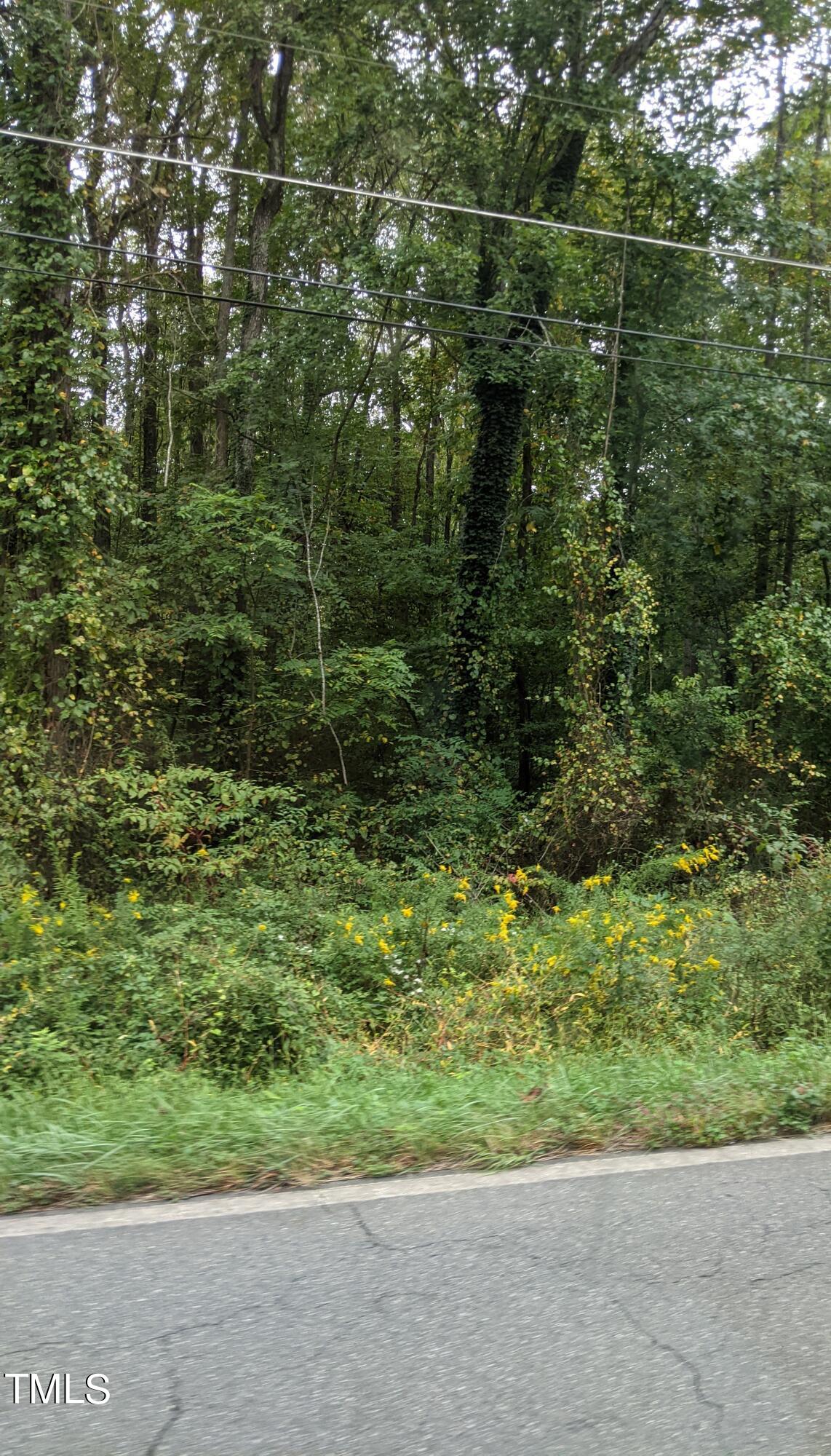 a view of a green field with lots of bushes