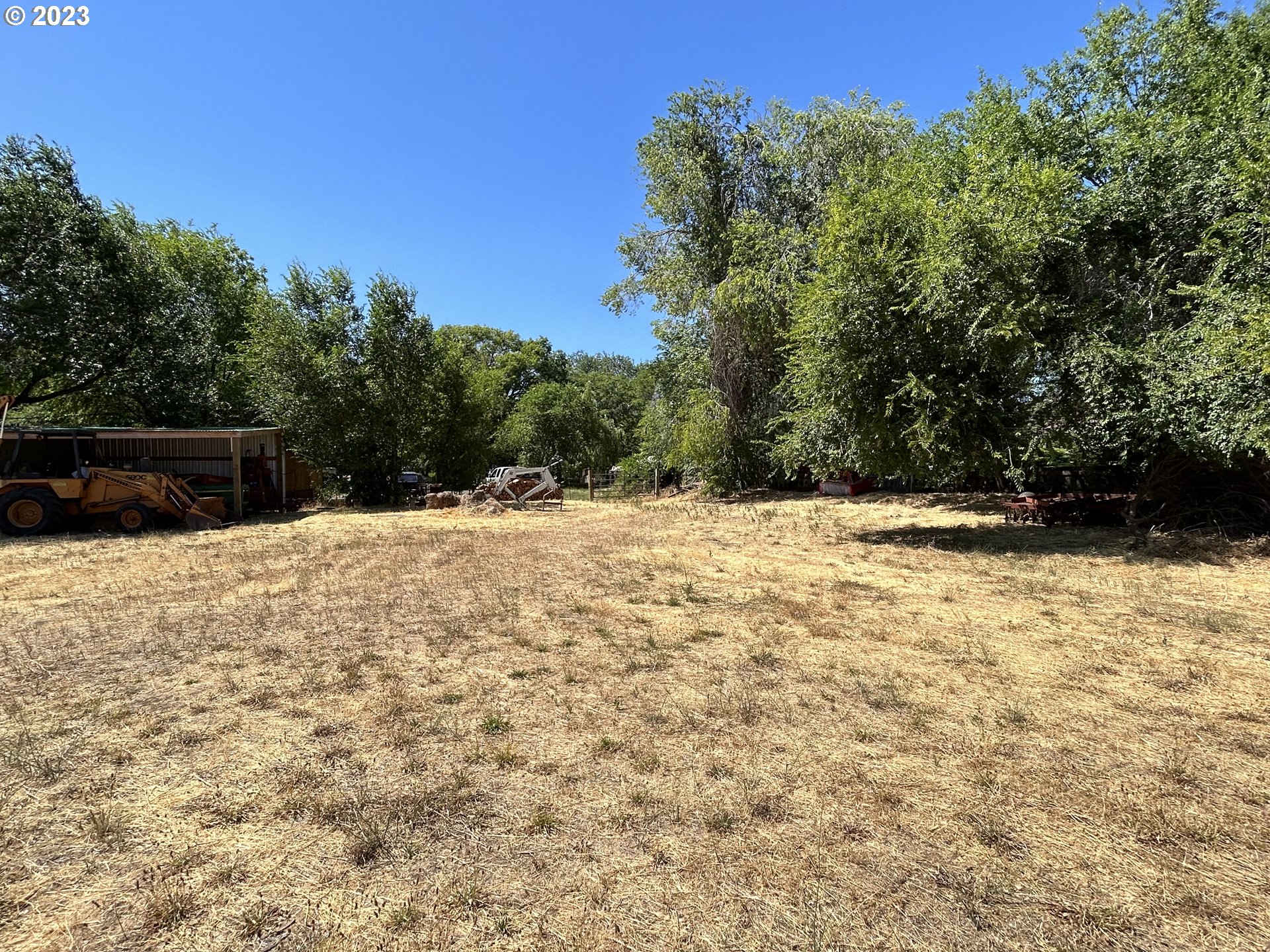 a view of outdoor space yard and trees