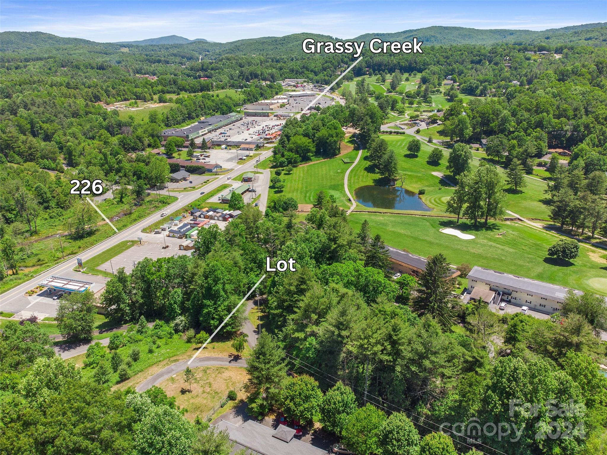 an aerial view of green landscape with trees houses and mountain view