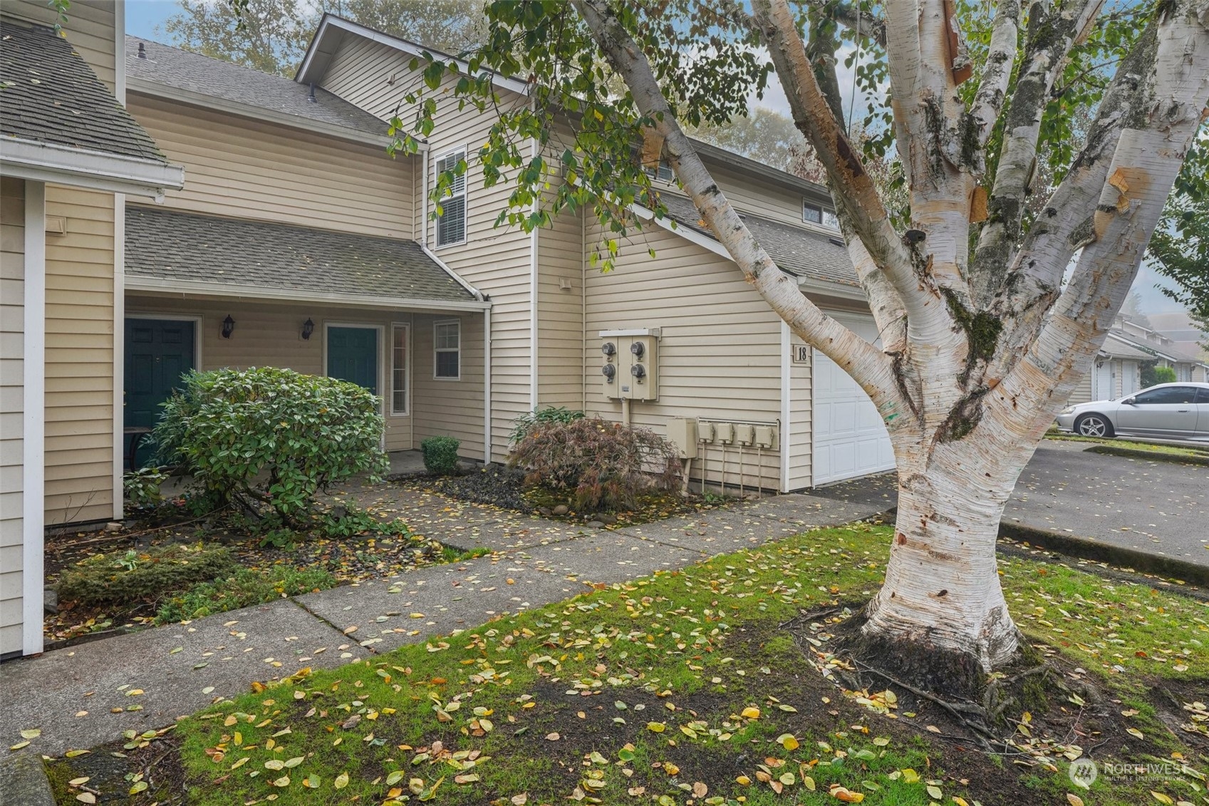 a backyard of a house with plants and large tree