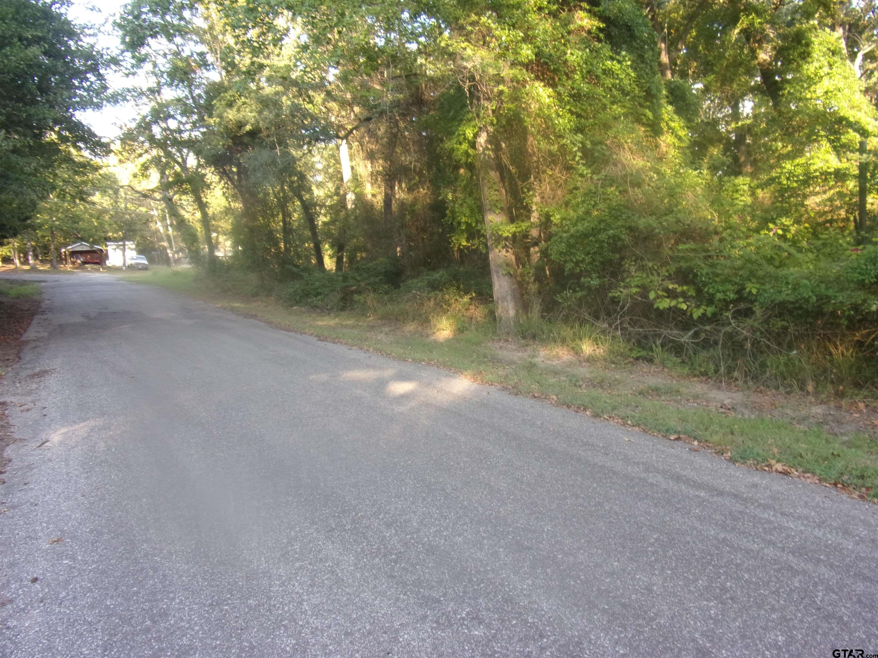 a view of road and trees