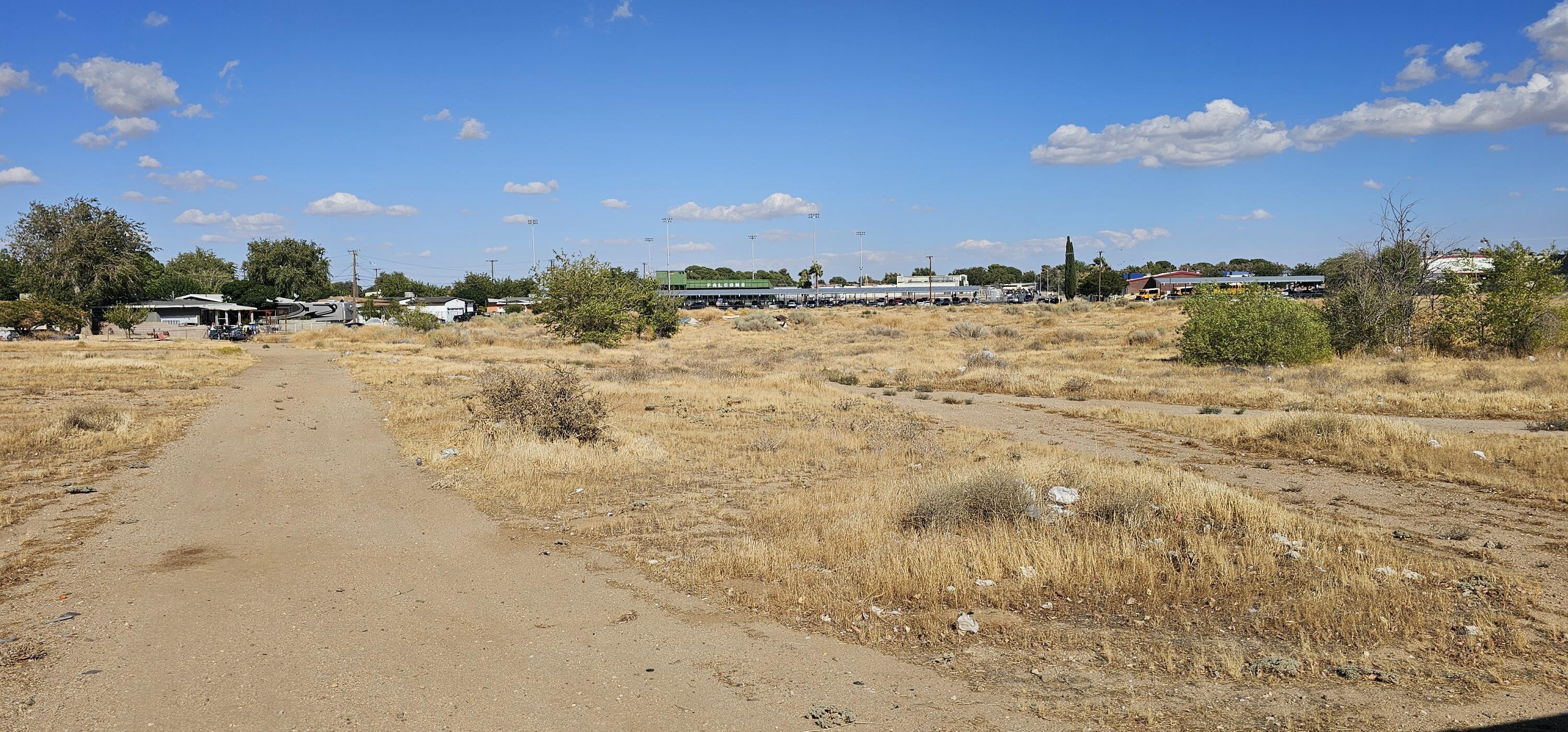 a view of a beach with a yard