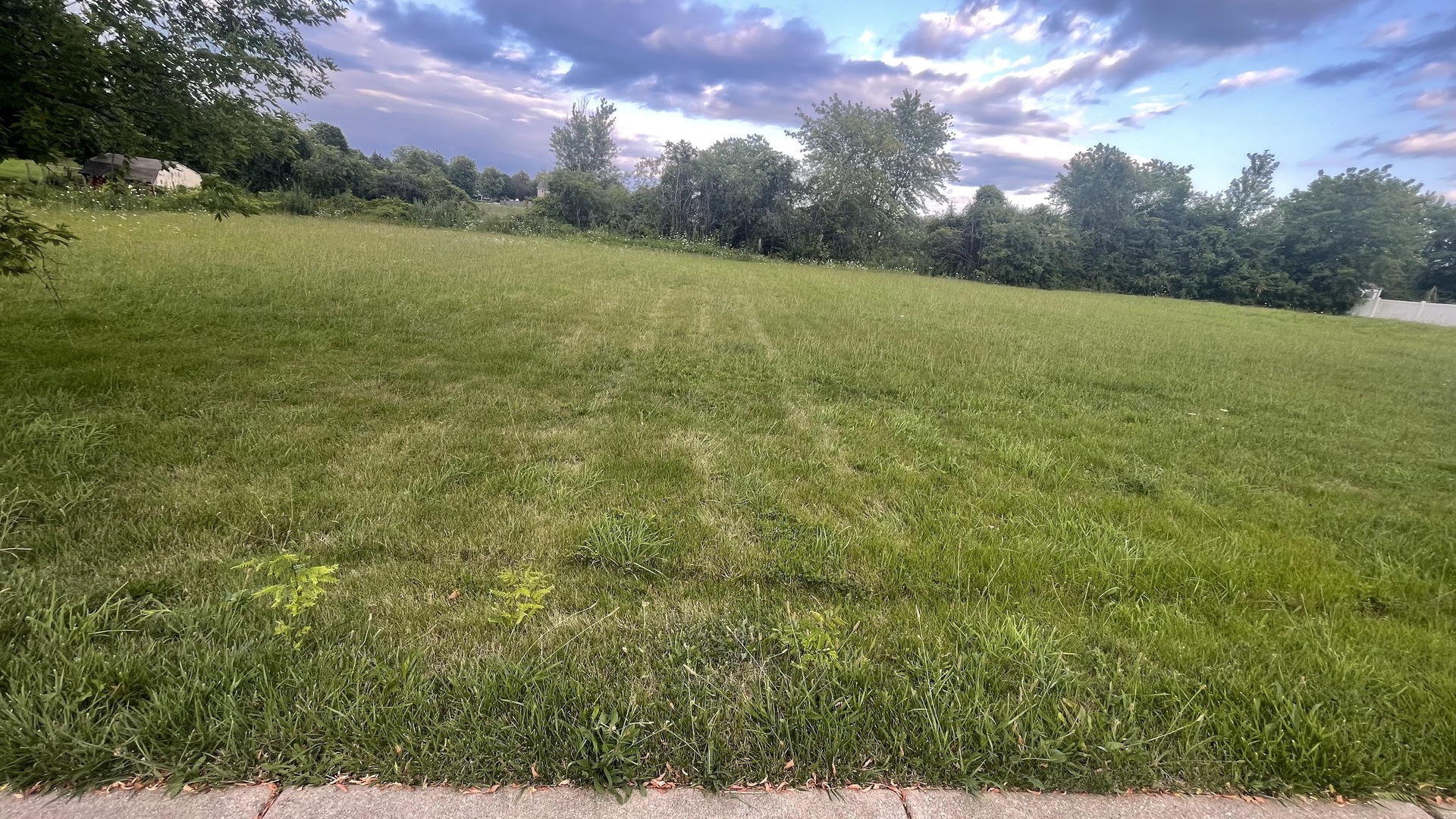 a view of a field with an ocean