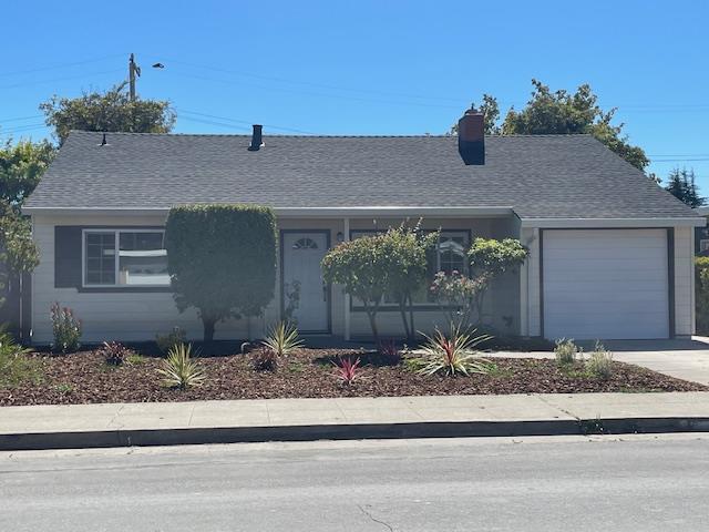 a front view of a house with garage and plants