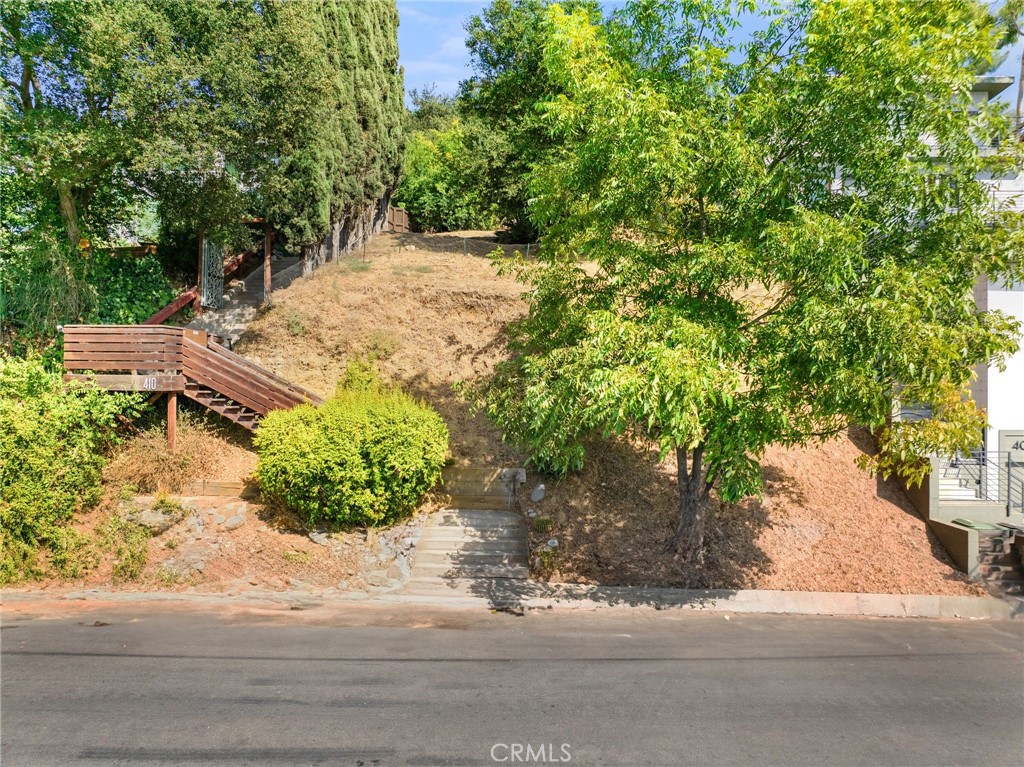 a view of a yard with plants and trees