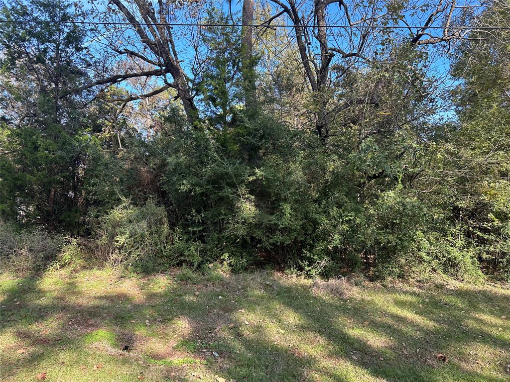 a view of a yard with a tree