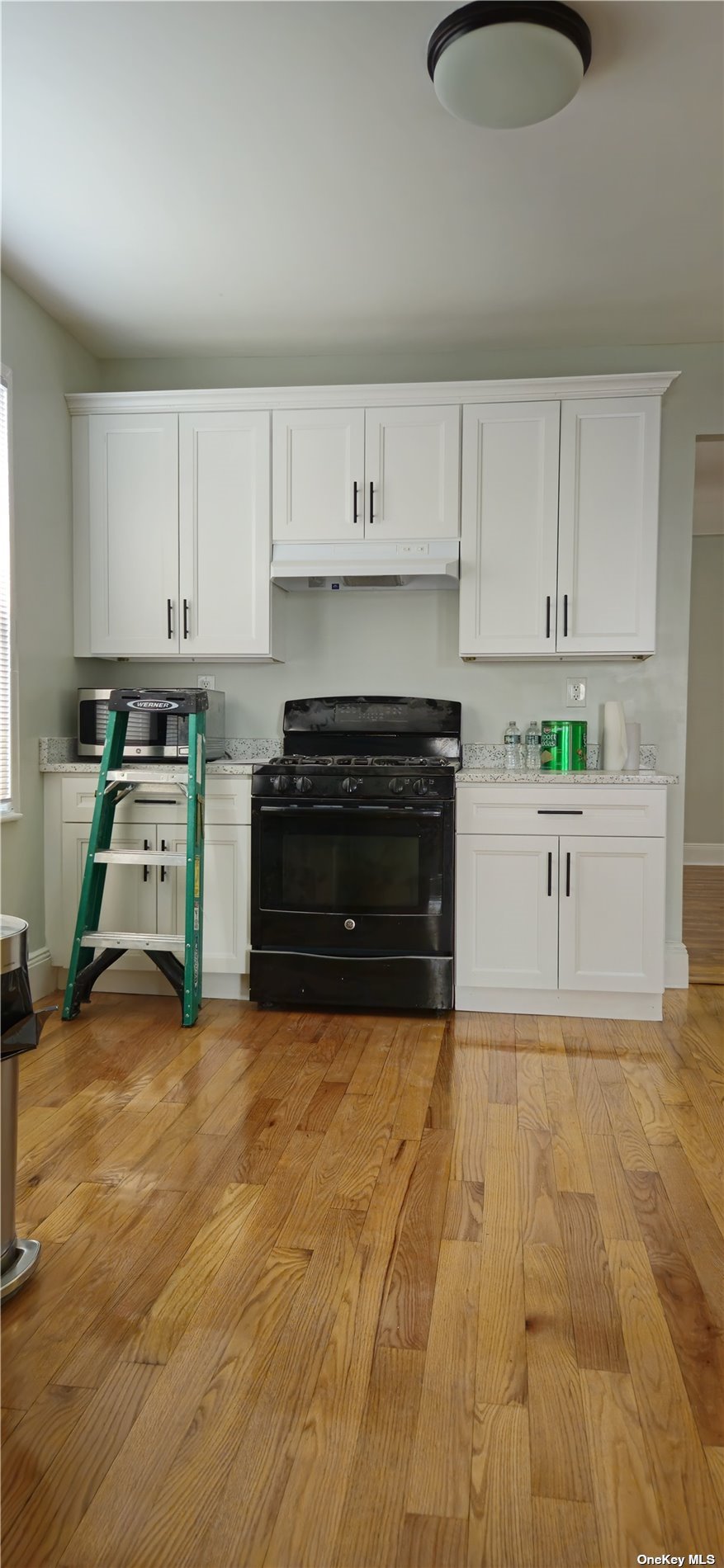 a kitchen with stainless steel appliances granite countertop a stove a sink and a white cabinets