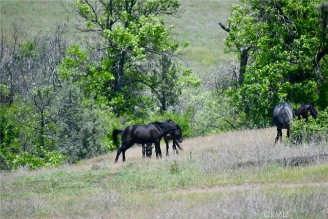 $130,000 | 0 Yellow Dog Trail