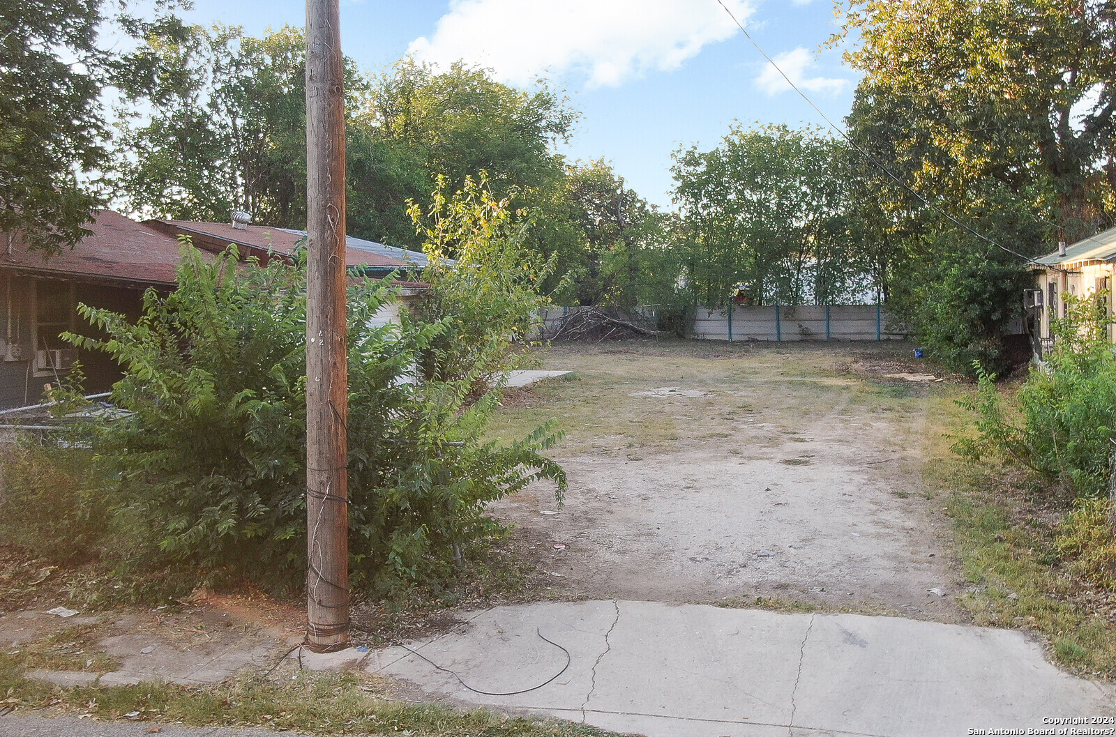 a view of a yard with plants and trees