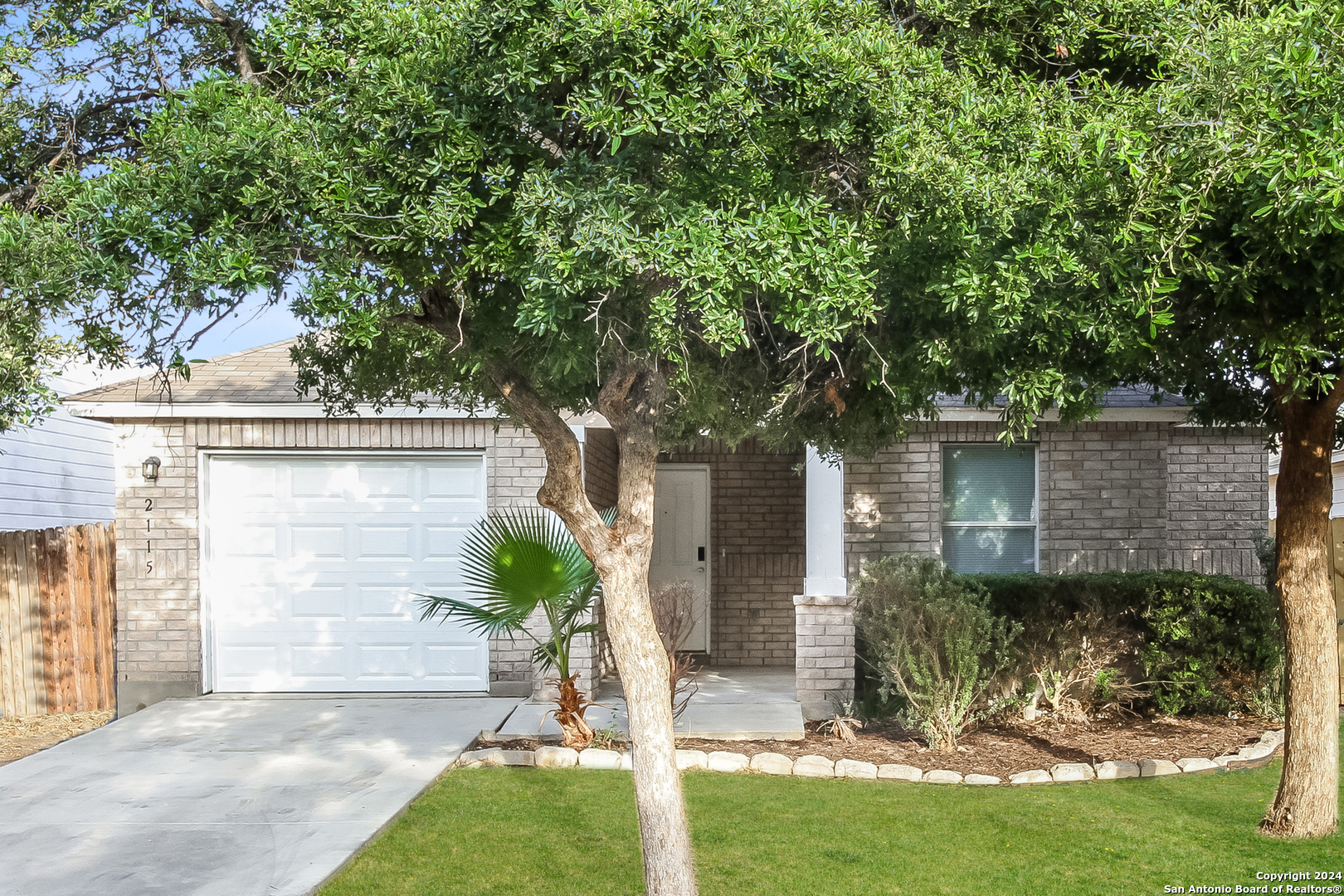 a view of a yard in front of a house with plants and large tree