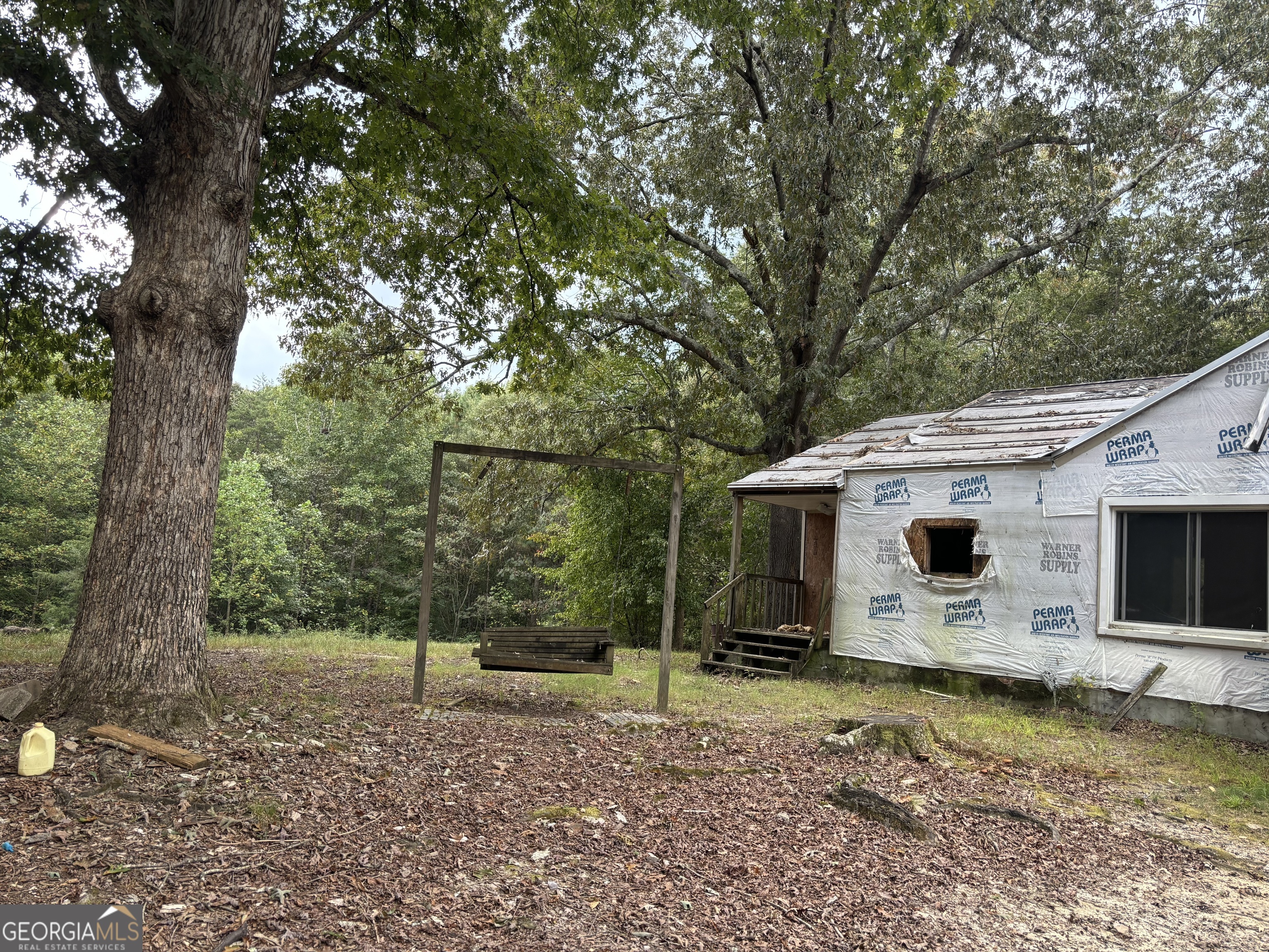 a view of a backyard with a tree