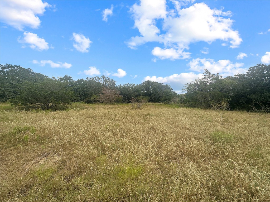 a view of a lake with a yard