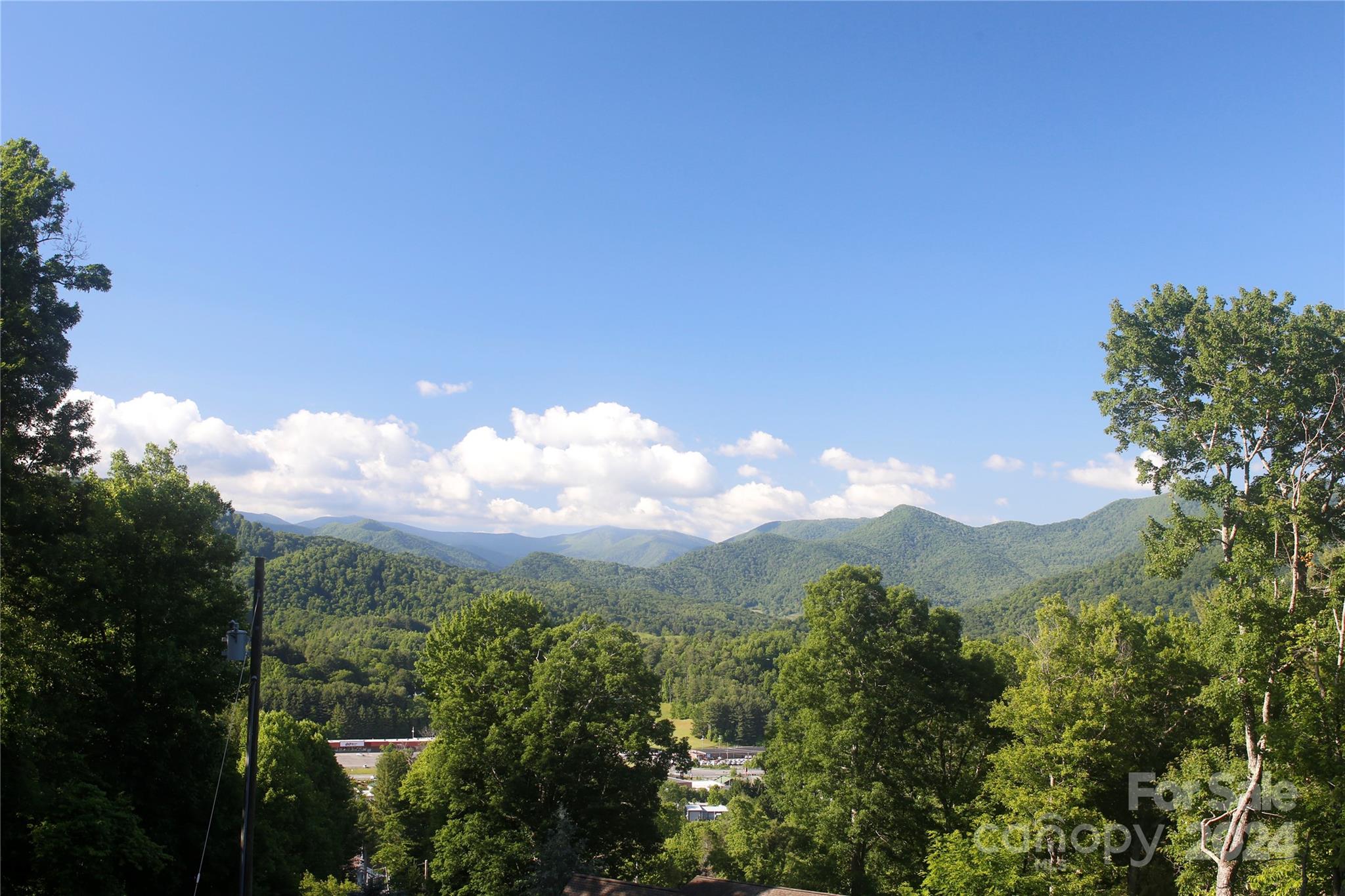 a view of a city with lush green forest