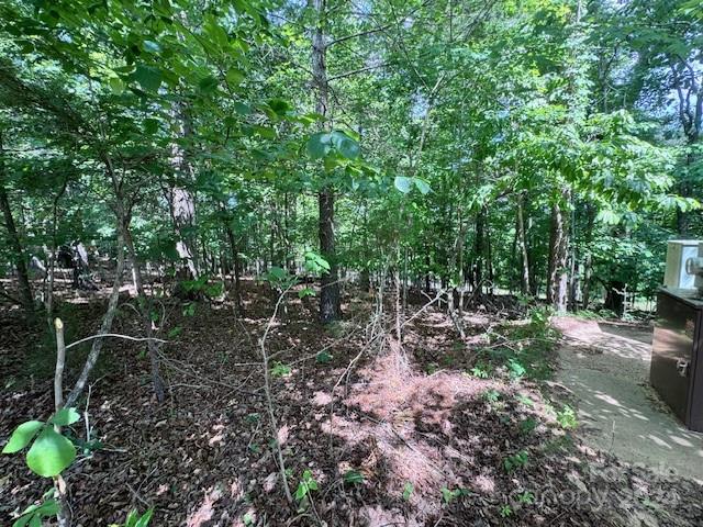 a view of a forest with trees