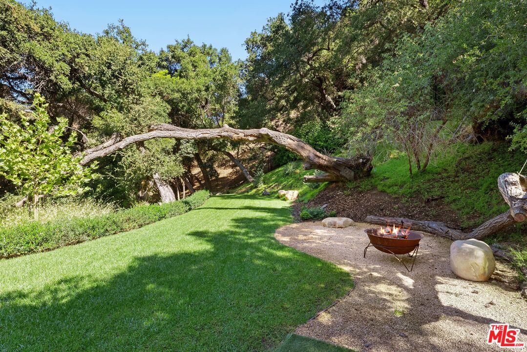 a view of a garden with plants and large trees