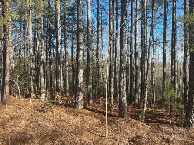 $23,900 | 0 Pine Cone Trail | Green Hill Township - Rutherford County