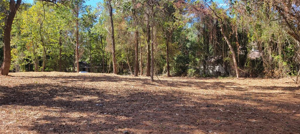 a view of dirt yard with a trees