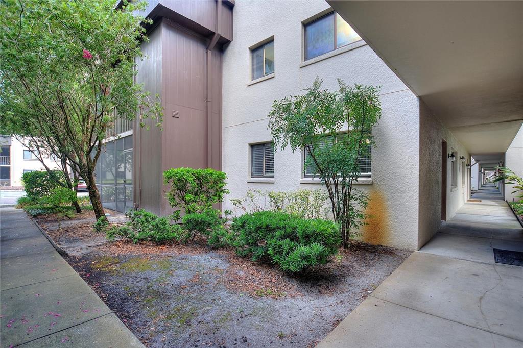 a view of a back yard of the house