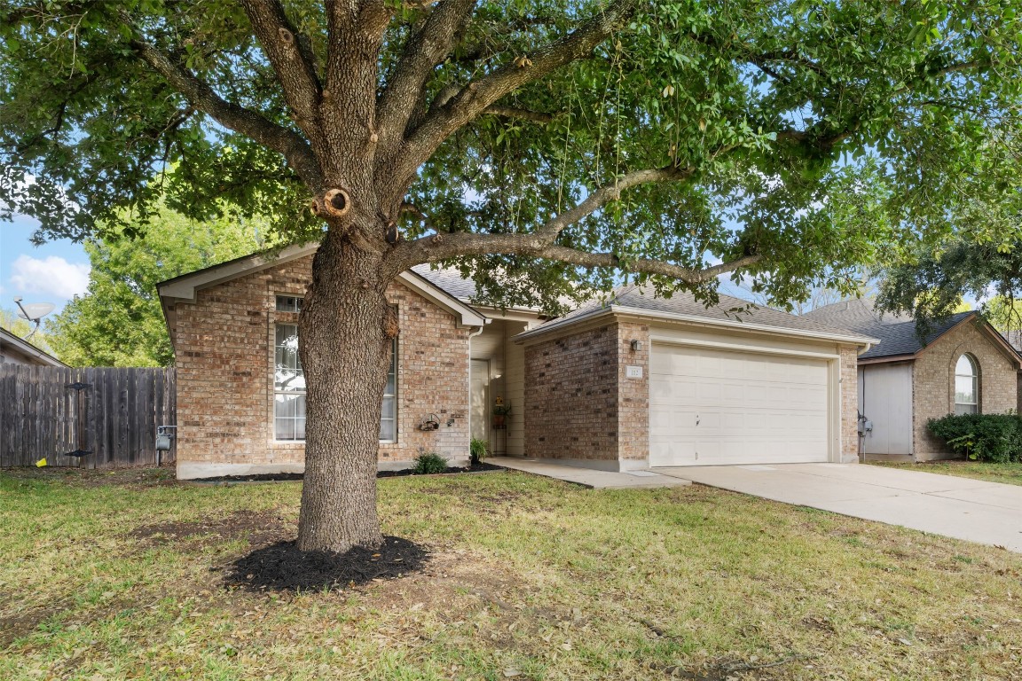 a house with a tree in front of it