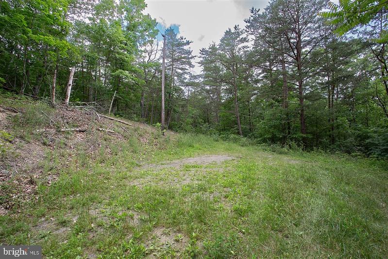 a view of outdoor space and view of trees