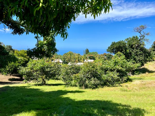 $1,895,000 | 78-6797 Mamalahoa Highway | Honalo