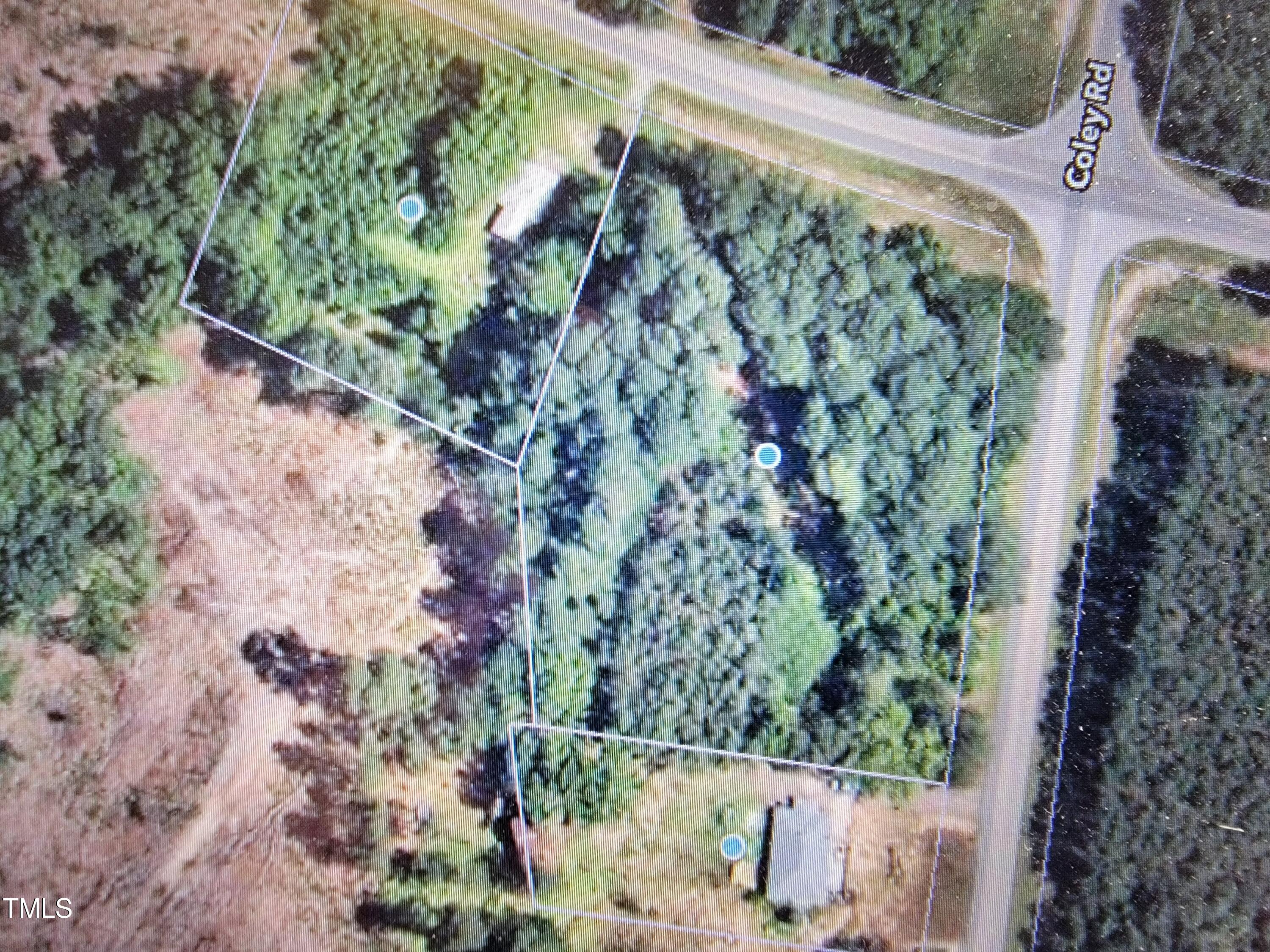 a view of a yard with plants