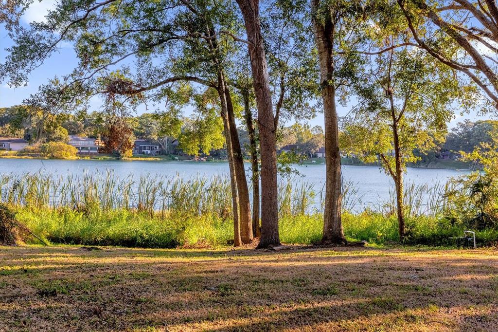 Lakefront on Lake Anderson