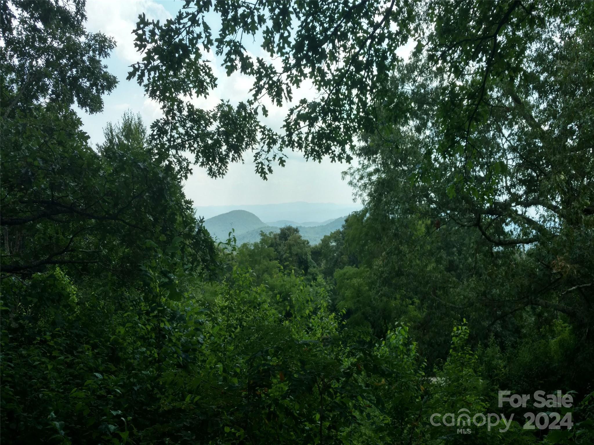 a view of lake from a yard