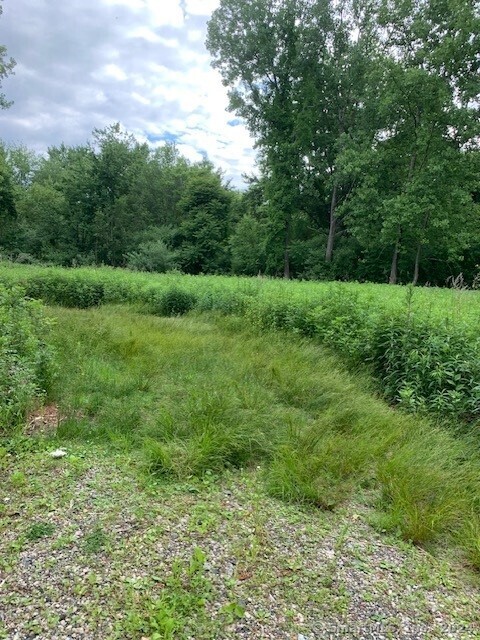 a view of an outdoor space and a yard