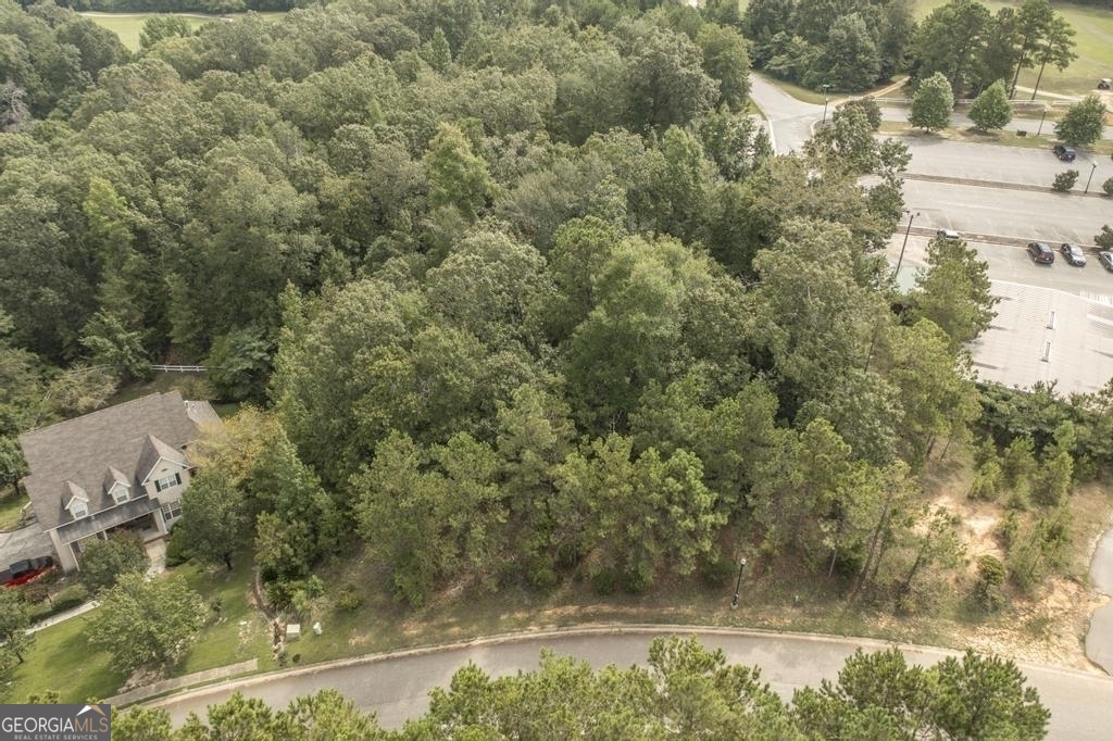 an aerial view of residential house with green space