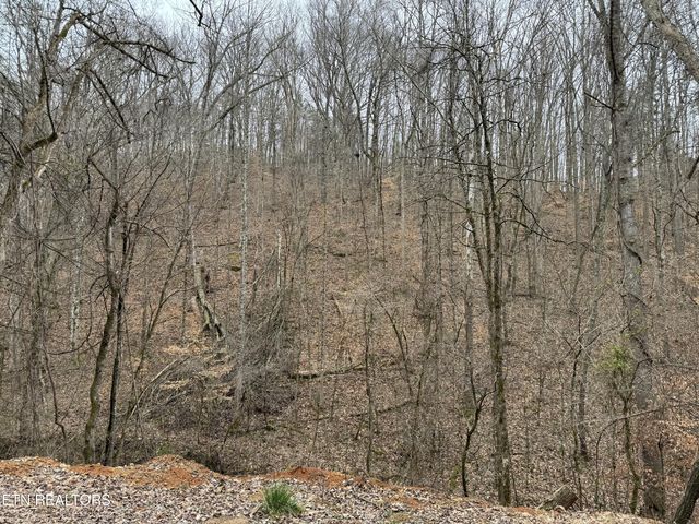 $99,000 | Bunch Hollow Road